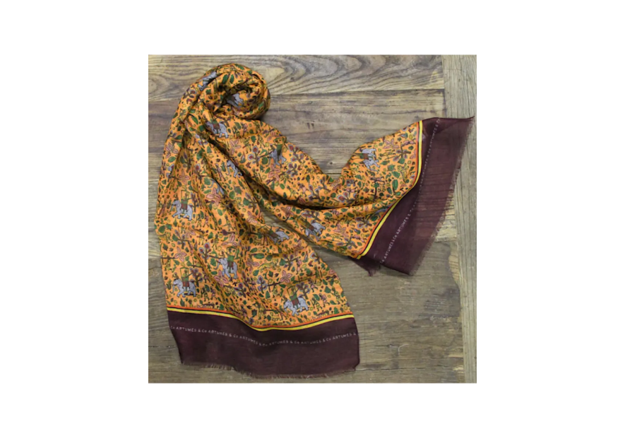 Tourdesoi Artumes Safari Chasse en Inde mandarine