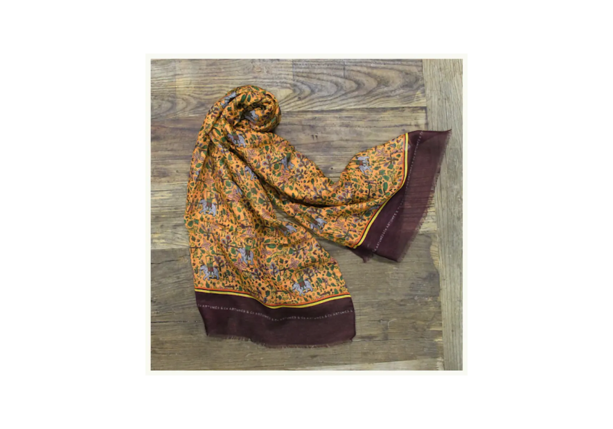 Tourdesoi Artumes Safari Chasse en Inde mandarine