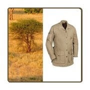 Safari