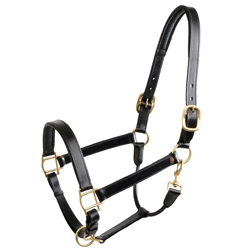 equipement cheval  Equitation, Equipement cheval, Accessoires pour chevaux